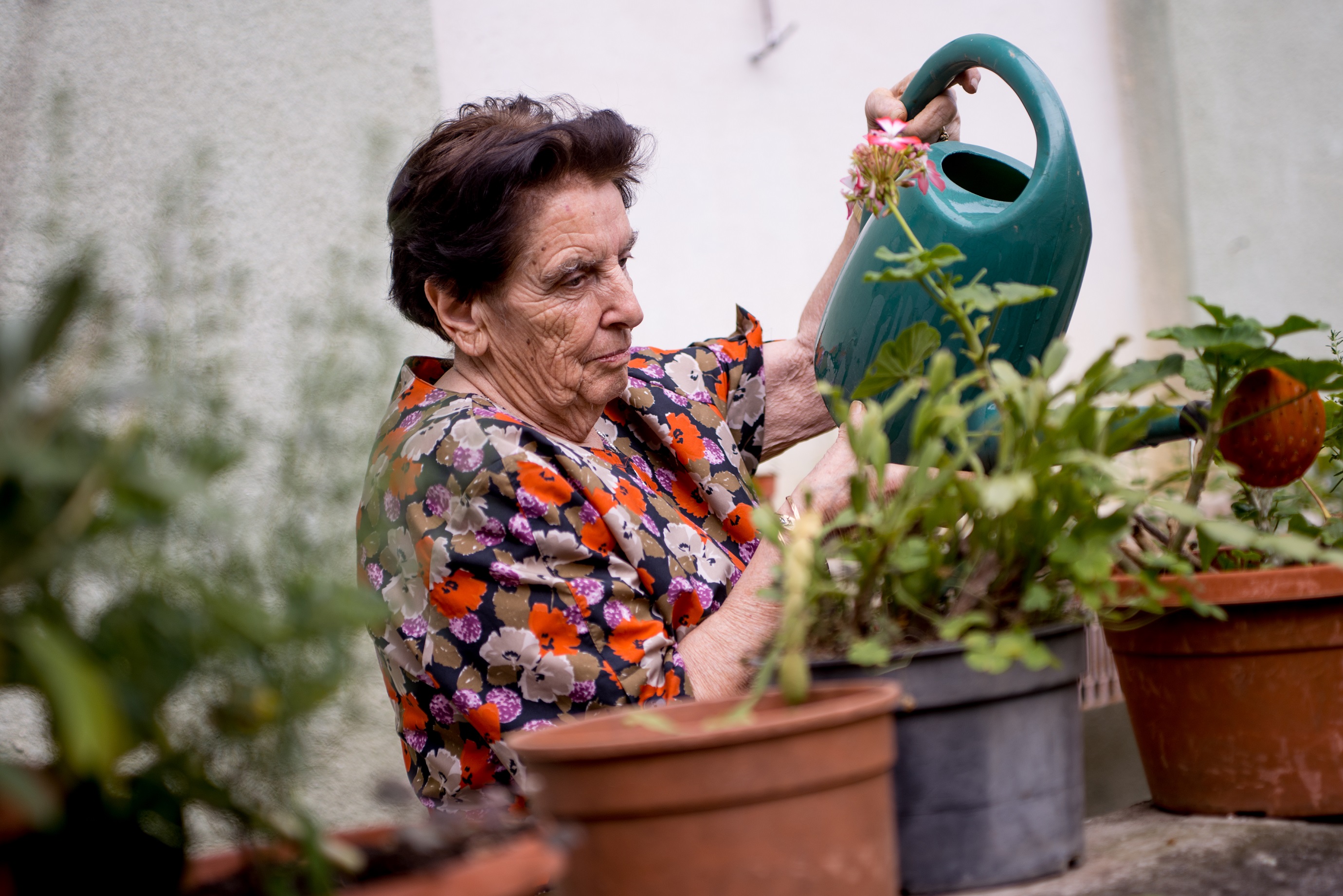 Beyond Emergency Assistance: A New Collaboration with Meals on Wheels People