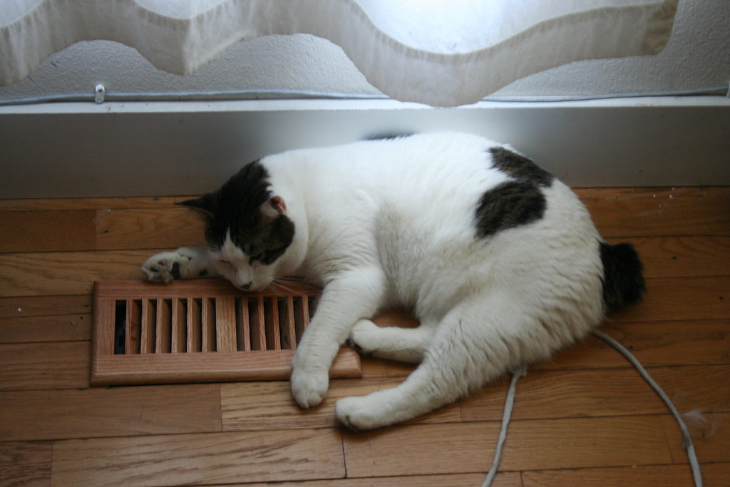 Image of a black and white cat sleeping on top of a floor vent.