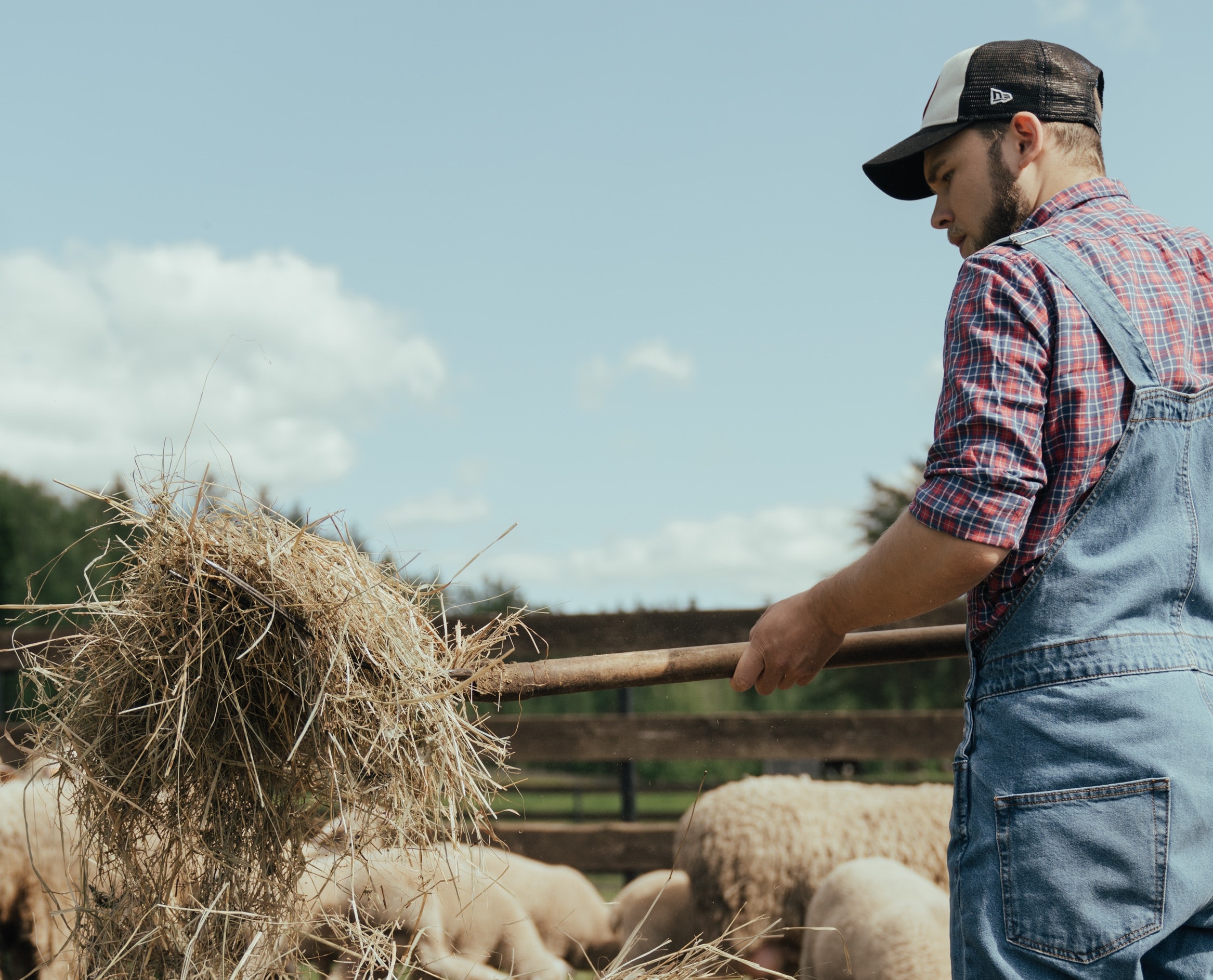 Oregon Energy Fund Dramatically Expands Funding to Rural Oregon