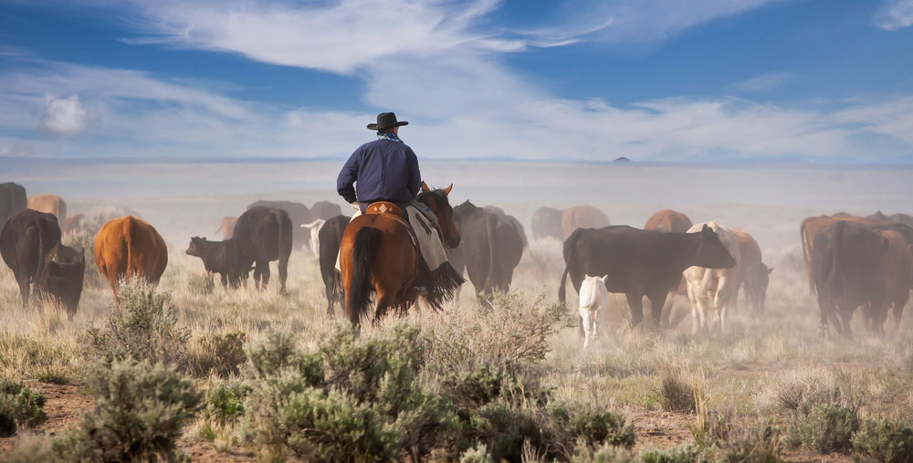 OEF Raises $35,000 for Rural Eastern Oregon Counties