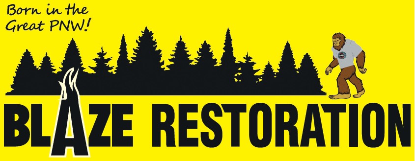 Blaze Restoration Logo